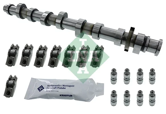 Sada vačkového hřídele Schaeffler INA 428005030