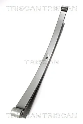 Paket pružin TRISCAN 876523015