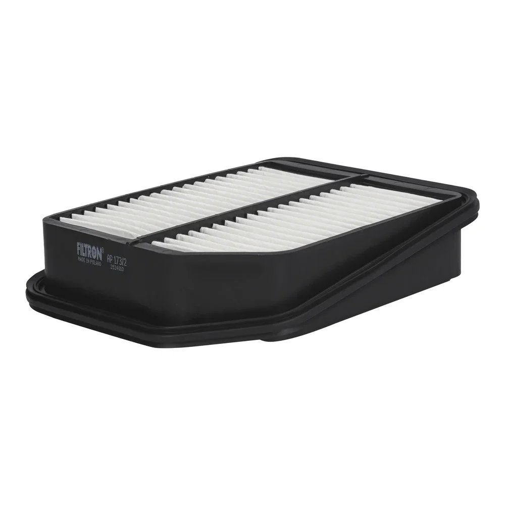 Vzduchový filtr FILTRON AP173/2