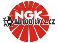 NG CR9EHIX-9 Zapalovací svíčka NGK