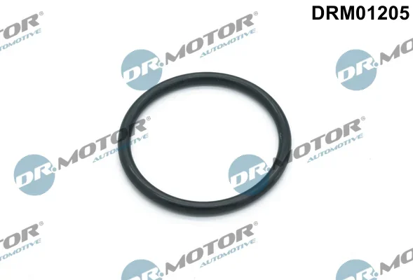 Těsnění, vodní čerpadlo Dr.Motor Automotive DRM01205
