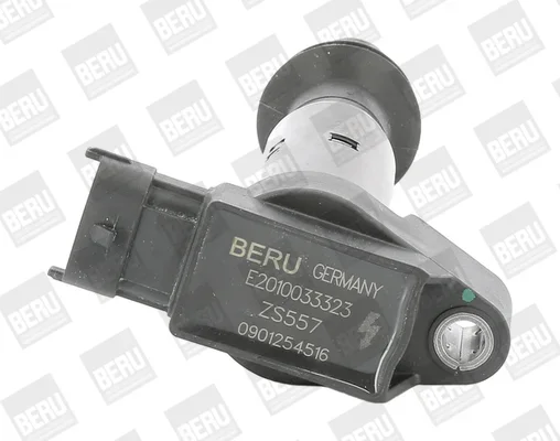 Zapalovací cívka BorgWarner ZS557 Zapalovací cívka BorgWarner ZS557