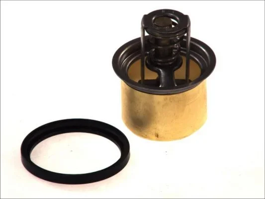 Termostat, chladivo THERMOTEC D2RV001TT