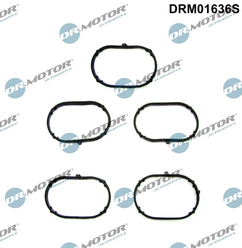 Sada těsnění, koleno sacího potrubí Dr.Motor Automotive DRM01636S
