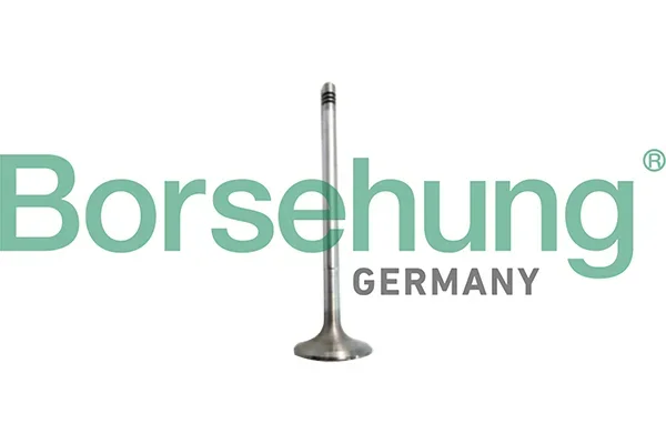 Sací ventil Borsehung B10327 – OE 04E109601B Sací ventil Borsehung B10327 – OE 04E109601B