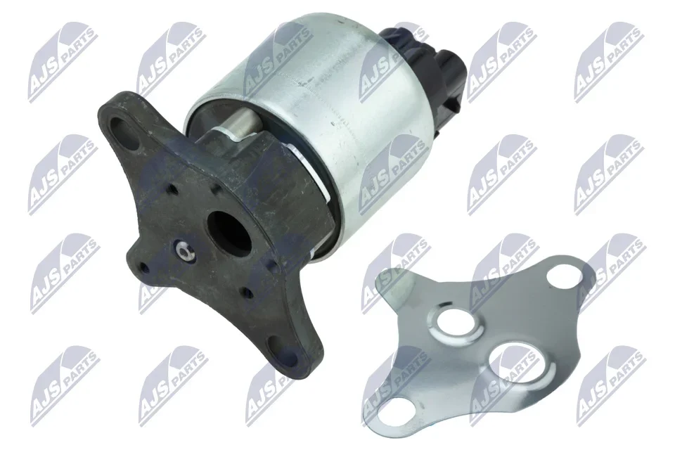 AGR-Ventil NTY EGR-CH-008 AGR-Ventil NTY EGR-CH-008